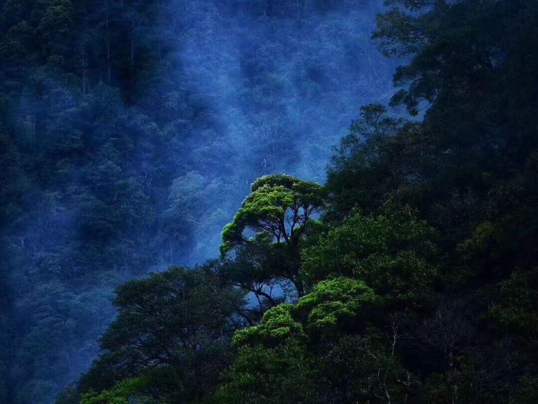 一击致命